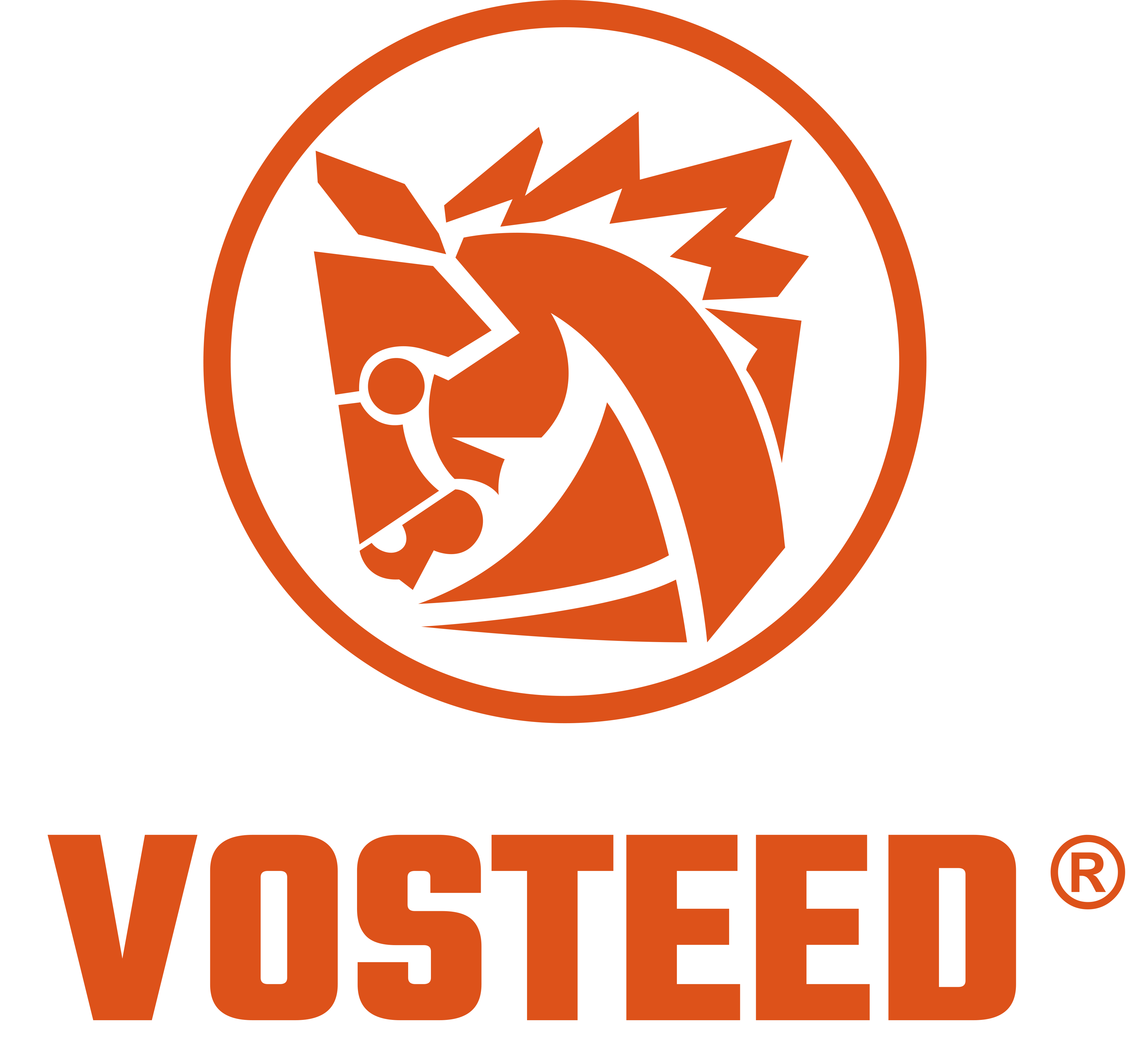 Vosteed_Wordmark_Orange