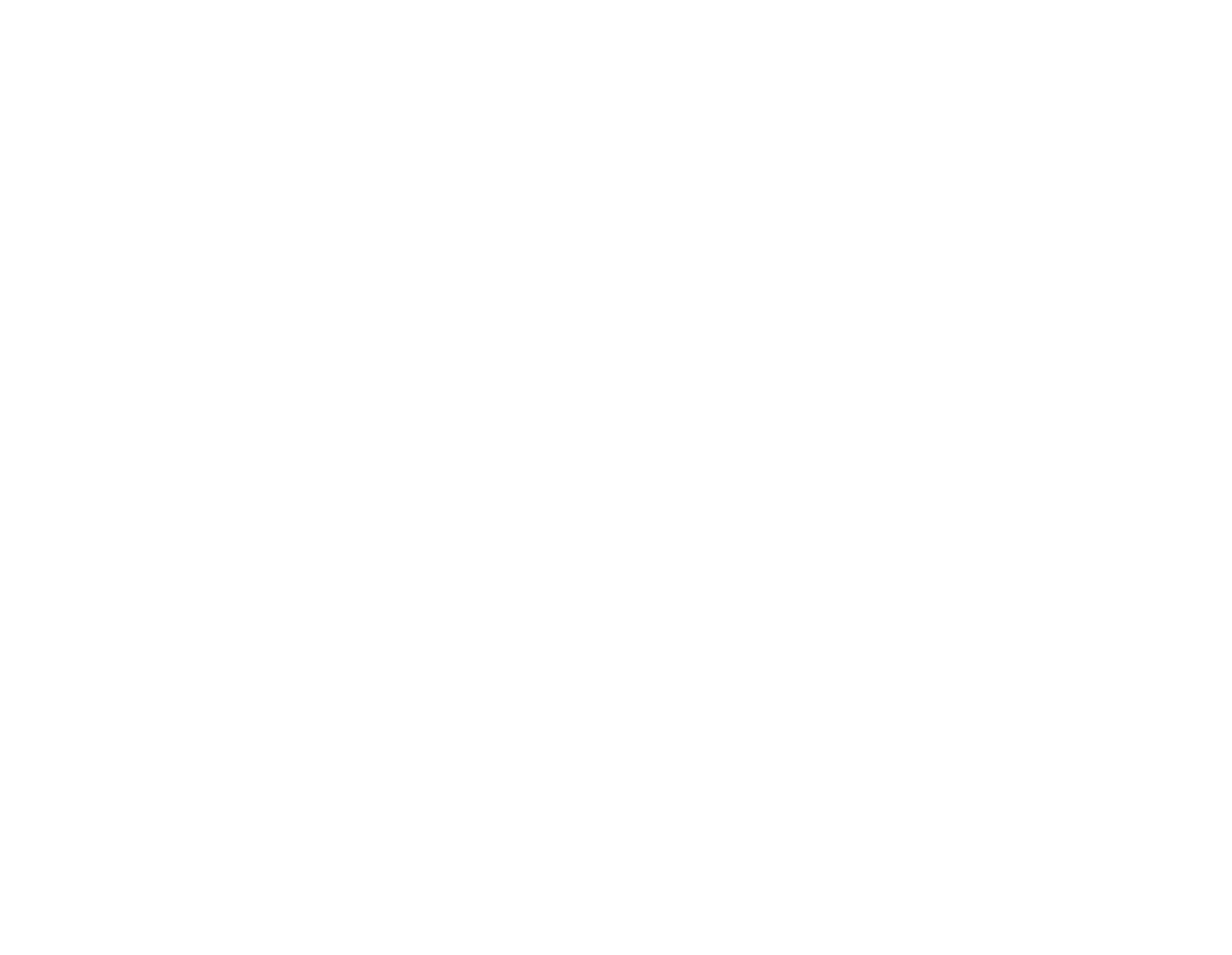 poikilo logo4